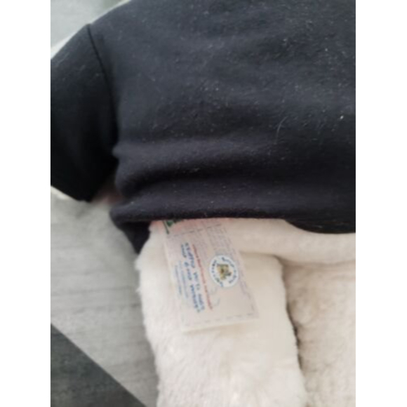 Build a Bear plush With solar System Clothing - Picture 2 of 5